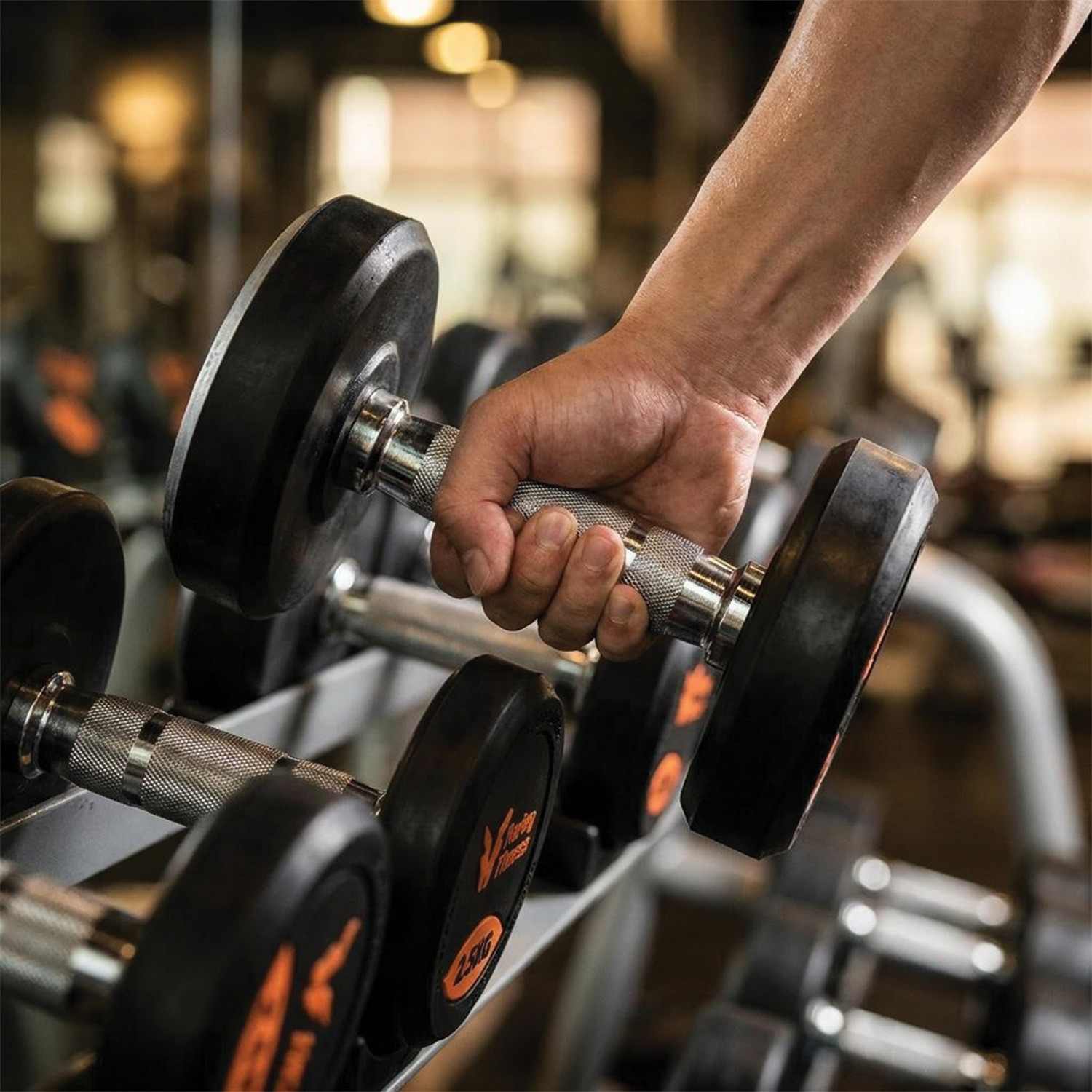 Harley Fitness Rubber Coated Dumbbells | Wholesale & Clearance Deals UAE