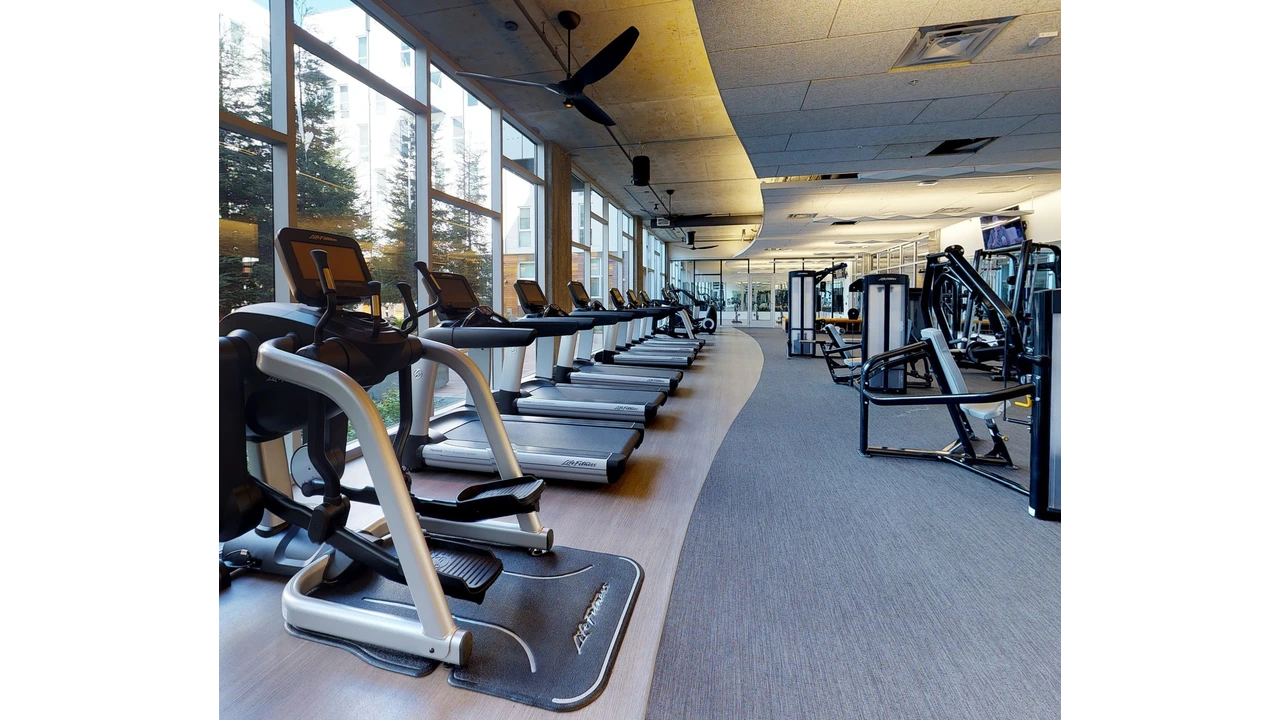 Best Treadmill for Weight Loss: Incline Walking vs Running (What Works Faster at Home?)&nbsp;