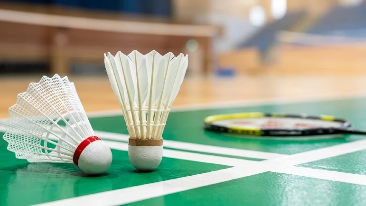 Nylon vs Feather Shuttlecocks: Which Should You Buy in the UAE?